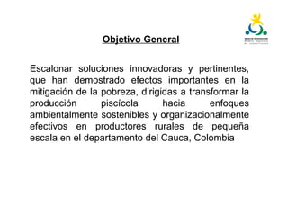 Plan tecnológico para la cadena piscícola del Cauca: Un escenario para la innovación abierta