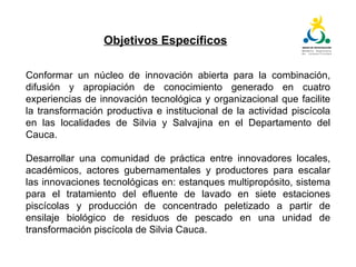 Plan tecnológico para la cadena piscícola del Cauca: Un escenario para la innovación abierta