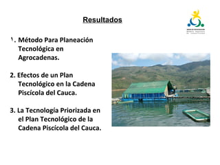 Plan tecnológico para la cadena piscícola del Cauca: Un escenario para la innovación abierta
