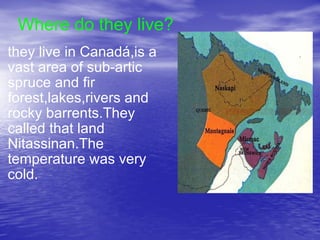 Innu Colonization Innu | PPT
