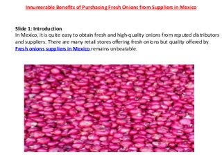 Innumerable Benefits of Purchasing Fresh Onions from Suppliers in Mexico
Slide 1: Introduction
In Mexico, it is quite easy to obtain fresh and high-quality onions from reputed distributors
and suppliers. There are many retail stores offering fresh onions but quality offered by
Fresh onions suppliers in Mexico remains unbeatable.
 