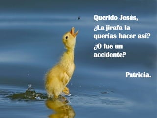 Querido Jesús, ¿La jirafa la querías hacer así? ¿O fue un accidente? Patricia. 
