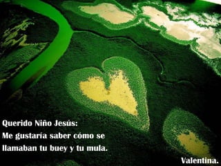 Querido Niño Jesús: Me gustaría saber cómo se llamaban tu buey y tu mula. Valentina. 