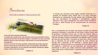Inocência 
NATURALISMO E IDEALIZAÇÃO 
A estrada que atravessa essas regiões incultas desenrola-se à 
maneira de alvejante faixa, aberta que é na areia, elemento 
dominante na composição de todo aquele solo, fertilizado aliás 
por um sem-número de límpidos e borbulhantes regatos, 
ribeirões e rios, cujos contingentes são outros tantos tributários 
do claro e fundo Paraná ou, na contravertente, do correntoso 
Paraguai. 
(Página 2) 
Ora e a perspectiva dos cerrados, não desses cerrados de arbustos 
raquíticos, enfezados e retorcidos de São Paulo e Minas Gerais, mas 
de garbosas e elevadas árvores que, se bem não tomem, todas, o 
corpo de que são capazes à beira das águas correntes ou regadas pela 
linfa dos córregos, contudo ensombram com folhuda rama o terreno 
que lhes fica em derredor e mostram na casca lisa a força da seiva 
que as alimenta; ora são campos a perder de vista, cobertos de 
macega alta e alourada, ou de viridente e mimosa grama, toda 
salpicada de silvestres flores; ora sucessões de luxuriantes capões, 
tão regulares e simétricos em sua disposição que surpreendem e 
embelezam os olhos; ora, enfim, charnecas meio apauladas, meio 
secas, onde nasce o altivo buriti e o gravata entrança o seu tapume 
espinhoso. 
(Página 2) 
Como são belas aquelas palmeiras! 
O estípite liso, pardacento, sem manchas mais que pontuadas estrias, 
sustenta denso feixe de pecíolos longos e canulados, em que assentam 
flabelos abertos como um leque, cujas pontas se acurvam flexíveis e 
tremulantes. 
Na base em torno da coma, pendem, amparados por largas espatas, 
densos cachos de cocos tão duros, que a casca luzidia, revestida de 
escamas romboidais e de um amarelo alaranjado, desafia por algum 
tempo o férreo bico das araras. 
(Página 5) 
 