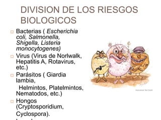 DIVISION DE LOS RIESGOS BIOLOGICOSBacterias ( Escherichia coli, Salmonella, Shigella, Listeria monocytogenes)Virus (Virus de Norlwalk, Hepatitis A, Rotavirus, etc.)Parásitos ( Giardia lambia,     Helmintos, Platelmintos, Nematodos, etc.)Hongos (Cryptosporidium,	Cyclospora).Levaduras