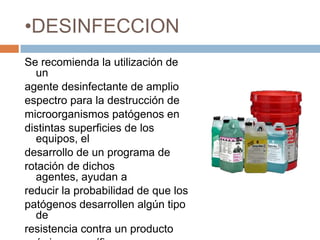DESINFECCIONSe recomienda la utilización de unagente desinfectante de amplioespectro para la destrucción demicroorganismos patógenos endistintas superficies de los equipos, eldesarrollo de un programa derotación de dichos agentes, ayudan areducir la probabilidad de que lospatógenos desarrollen algún tipo deresistencia contra un productoquímico específico.