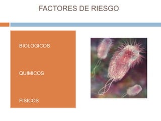 FACTORES DE RIESGOBIOLOGICOSQUIMICOSFISICOS