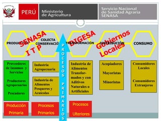 COLECTACONSERVACIÓNPRODUCCIÓNCONSUMOProveedoresde Insumos  y ServiciosProductores  AgropecuariosPescadoresAcopiadoresMayoristasMinoristasConsumidoresLocalesConsumidoresExtranjerosIndustria de Alimentos Transfor-mados y con Aditivos Naturales o ArtificialesIndustria  AgropecuariaIndustria de AlimentosPesqueros y AcuícolasDIGESAGobiernos Locales   SENASAPROCES OSPRIMARIOSDISTRIBUCIÓNTRANSFORMACIÓNI T PProcesos UlterioresProducciónPrimariaProcesos Primarios
