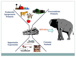 ProcesamientoPrimarioSENASAImportaciónExportación¿ProducciónAgropecuariaPrimariaConsumoNacional