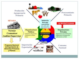 ProducciónAgropecuariaPrimariaProcesamientoPrimarioIndustria PrivadaAutocontroles    BPA, BPM, BPH,   POES, HACCP, etc.SENASANormarComunicarAuditar/SupervisarOrganizacionesPúblicas Gobiernos Regionales Gobiernos Locales OtrosOrganizacionesPrivadas  Organismos de CertificaciónOrganismos de Inspección  Laboratorios en RedACREDITADOSImportaciónExportaciónConsumoNacionalACREDITADOSAUTORIZADOSPrograma Nacional de Exportación de Alimentos Primarios y Piensos