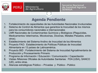 Agenda PendienteFortalecimiento de capacidades de las Autoridades Nacionales InvolucradasSistema de Control de Alimentos que garantice la Inocuidad de los mismos para los consumidores nacionales e internacionalesLMR Nacionales de Contaminantes Químicos y Biológicos (Plaguicidas, Medicamentos Veterinarios, Micotoxinas, Dioxinas, Metales Pesados, entre otros).Establecimiento del Sistema Andino de Inocuidad de los AlimentosProyecto FAO:  Establecimiento de Políticas Públicas de Inocuidad Alimentaria en 13 países de Latinoamérica.Proyecto BID : Fortalecimiento del Sistema de Inocuidad Agroalimentaria de Producción y Procesamiento PrimarioPrograma de Información / Educación / Comunicación / CapacitaciónVisitas /Misiones Oficiales de Autoridades Sanitarias:  FDA (USA), SANCO (UE), entre otras.Alianzas estratégicas Público – Privadas  y  Público - Público