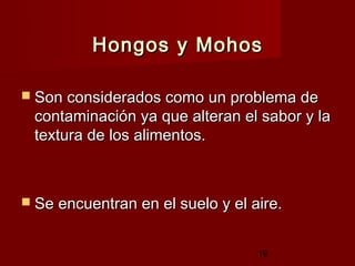 Hongos y Mohos

 Son considerados como un problema de
 contaminación ya que alteran el sabor y la
 textura de los alimentos.



 Se encuentran en el suelo y el aire.


                                  19
 