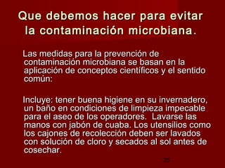 Que debemos hacer para evitar
 la contaminación microbiana .
Las medidas para la prevención de
contaminación microbiana se basan en la
aplicación de conceptos científicos y el sentido
común:

Incluye: tener buena higiene en su invernadero,
un baño en condiciones de limpieza impecable
para el aseo de los operadores. Lavarse las
manos con jabón de cuaba. Los utensilios como
los cajones de recolección deben ser lavados
con solución de cloro y secados al sol antes de
cosechar.
                                    25
 