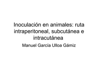 Inoculación en animales: ruta
intraperitoneal, subcutánea e
intracutánea
Manuel García Ulloa Gámiz
 