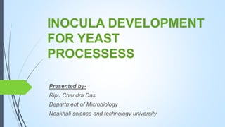 INOCULA DEVELOPMENT
FOR YEAST
PROCESSESS
Presented by-
Ripu Chandra Das
Department of Microbiology
Noakhali science and technology university
 