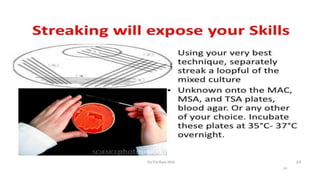 inoculating a culture plate in bacteriology | PPTX
