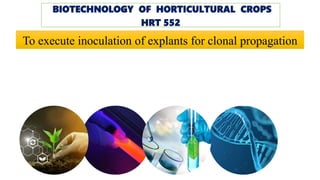 To execute inoculation of explants for clonal propagation
BIOTECHNOLOGY OF HORTICULTURAL CROPS
HRT 552
 