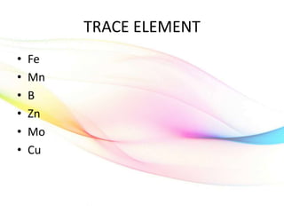 TRACE ELEMENT
• Fe
• Mn
• B
• Zn
• Mo
• Cu
 