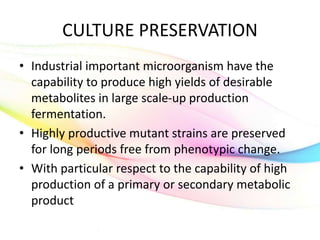 CULTURE PRESERVATION
• Industrial important microorganism have the
capability to produce high yields of desirable
metabolites in large scale-up production
fermentation.
• Highly productive mutant strains are preserved
for long periods free from phenotypic change.
• With particular respect to the capability of high
production of a primary or secondary metabolic
product
 