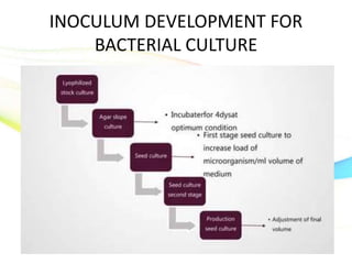 INOCULUM DEVELOPMENT FOR
BACTERIAL CULTURE
 