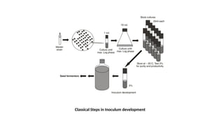 Classical Steps in Inoculum development
 