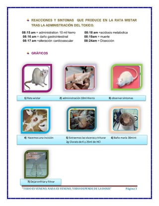 “TODO ES VENENO, NADA ES VENENO, TODO DEPENDE DE LADOSIS” Página3
08:15 am = administration 10 ml hierro 08:18 am =acidosi...