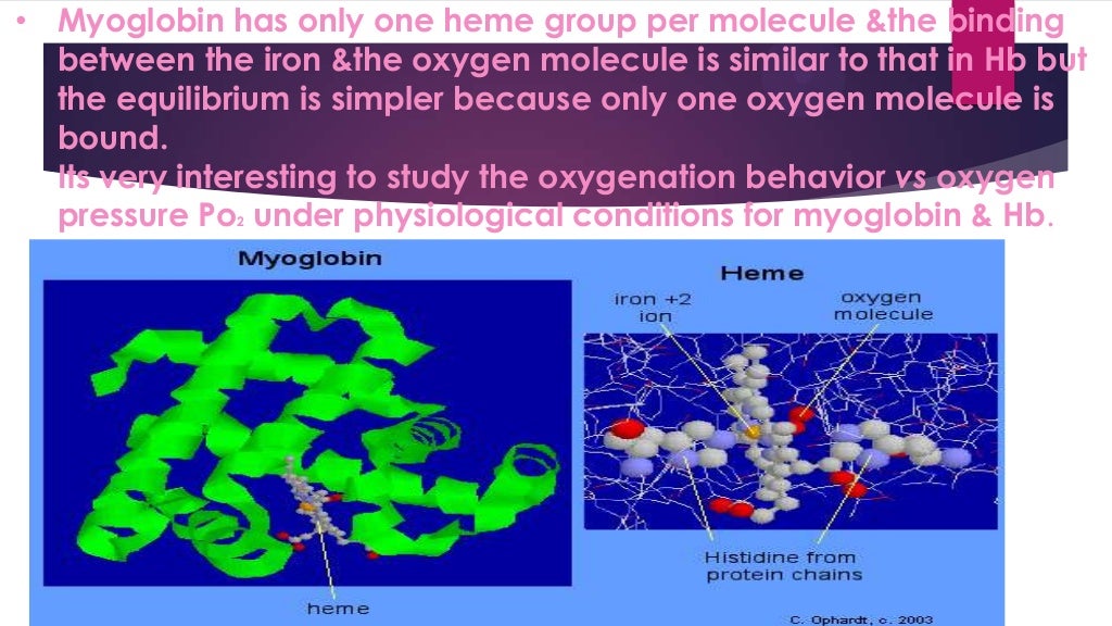 BIOMOLECULES ( CHEMISTRY)
