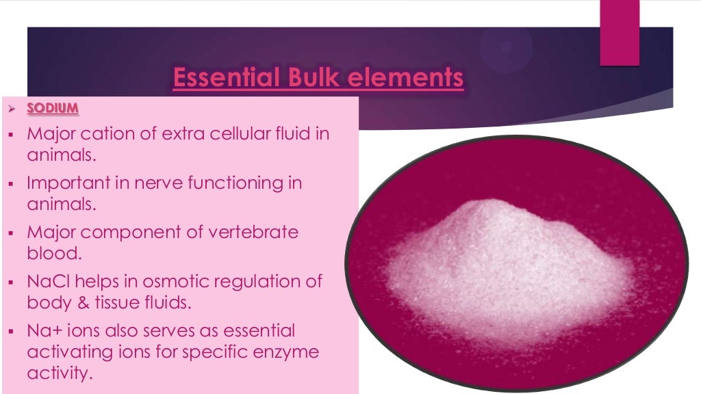 BIOMOLECULES ( CHEMISTRY)