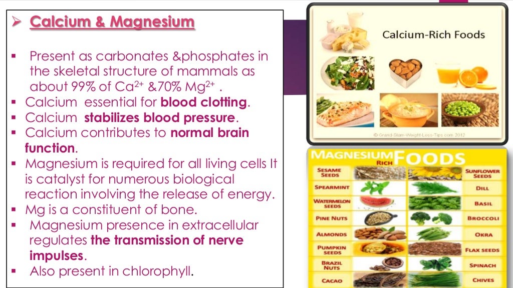 BIOMOLECULES ( CHEMISTRY)