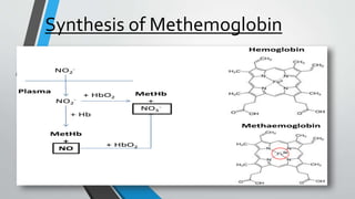 Synthesis of Methemoglobin
 
