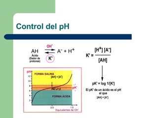 Control del pH 