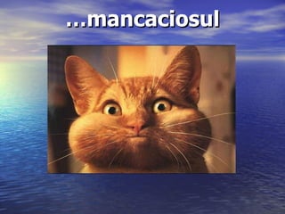 … mancaciosul 