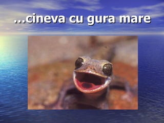 … cineva cu gura mare 