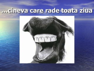 … cineva care rade toata ziua 