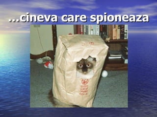 … cineva care spioneaza 