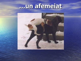 … un afemeiat   