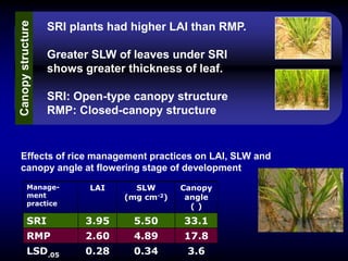 Comparison of leaf inclination at early-ripening
               stage under SRI and RMP


Management       1st leaf    2nd...