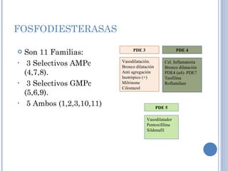 FOSFODIESTERASAS Son 11 Familias: 3 Selectivos AMPc (4,7,8). 3 Selectivos GMPc (5,6,9). 5 Ambos (1,2,3,10,11) Vasodilatación. Bronco dilatación Anti agregación Inotrópico (+) Milrinone Cilostazol Cel. Inflamatoria Bronco dilatación PDE4 (a4)- PDE7 Teofilina Roflumilast Vasodilatador Pentoxifilina Sildenafil PDE 3 PDE 4 PDE 5 