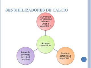 SENSIBILIZADORES DE CALCIO 