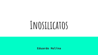 Inosilicatos
Eduardo Molina
 