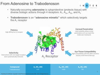 From Adenosine to Trabodenoson
A1 Receptor
• Naturally-occurring adenosine is cytoprotective (protects tissue) with
diverse biologic actions through 4 receptors: A1, A2a, A2b, and A3
• Trabodenoson is an “adenosine mimetic” which selectively targets
the A1 receptor
Selectivity
Interactions with non-target receptors
were systematically removed.
Eye Tissue Compatibility
High compatibility with the often sensitive
tissues in the front of the eye.
Corneal Penetration
Lipid solubility allows ocular
penetration so it can reach the
trabecular meshwork.
Potency
High affinity for A1 receptor
Compound
Trabodenoson
A1 (Ki, nM)
0.97
A2a (Ki, nM)
4,690
A3 (Ki, nM)
704
Proprietary & Confidential. Copyright © Inotek Pharmaceuticals Corporation 2000 – 2015. All Rights Reserved.
5
 