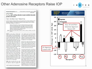 6
Other Adenosine Receptors Raise IOP
A1 Agonism
Lowers IOP
A2a, A3 and Non-
Selective Agonism
Raises IOP
 