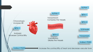 USING INOTROPES AND VASOPRESSORS IN OUR ICU | PPTX