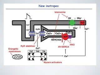 Iv Inotropes Inotropes and Vasopressors | PPT
