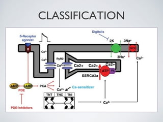 Inotropes Classification Inotropes and Vasopressors | PPT