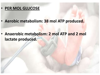 • PER MOL GLUCOSE
• Aerobic metabolism: 38 mol ATP produced.
• Anaerobic metabolism: 2 mol ATP and 2 mol
lactate produced.
 