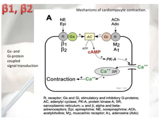 Mechanisms of cardiomyocyte contraction.
Gs- and
Gi-protein
coupled
signal transduction
 