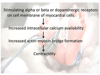 Stimulating alpha or beta or dopaminergic receptors
on cell membrane of myocardial cells
Increased intracellular calcium availability
Increased actin–myosin bridge formation
Contractility
 