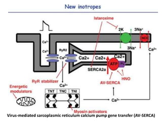Inotropes | PPTX