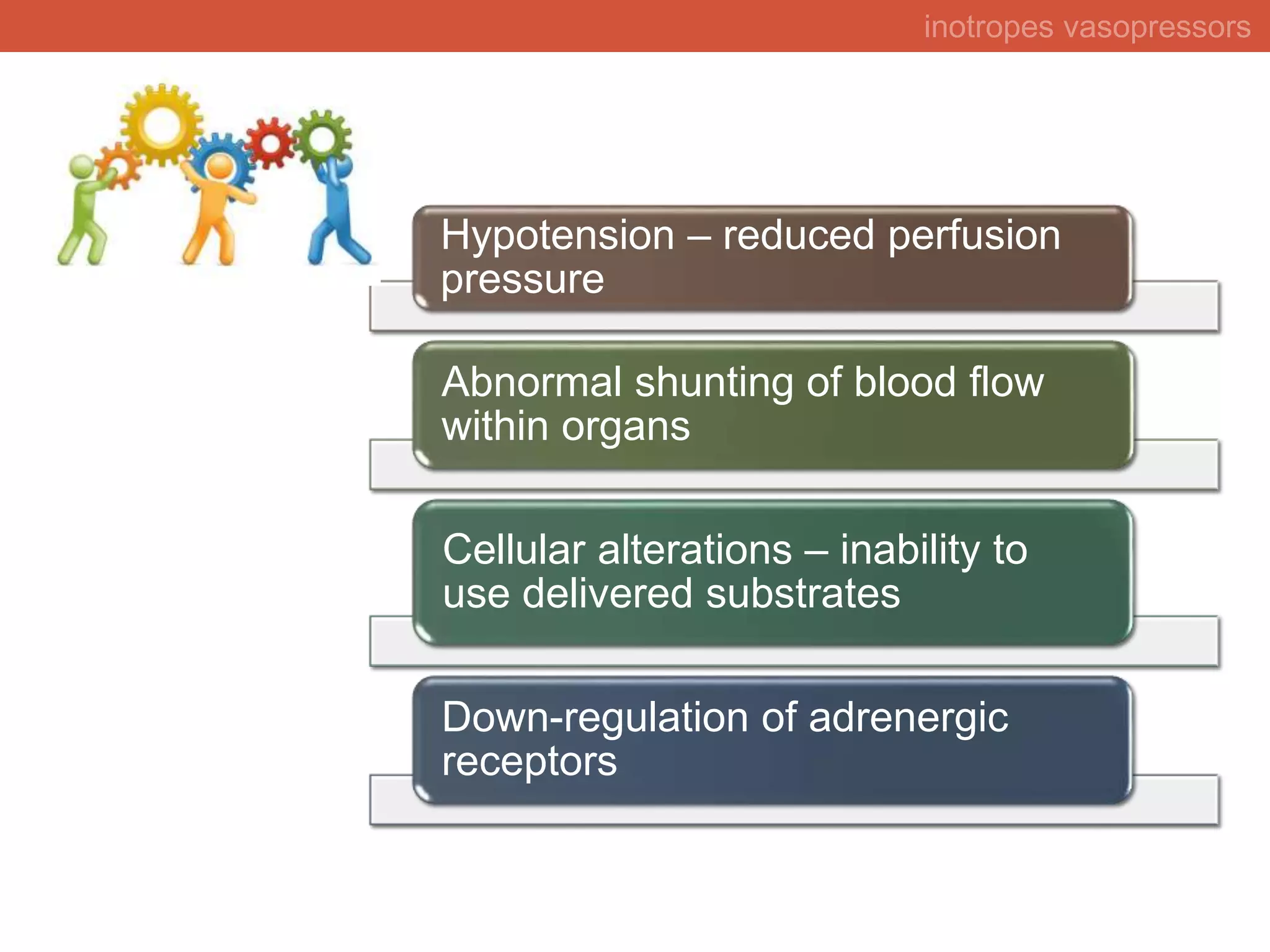 Rational choice of inotropes and vasopressors in intensive care unit | PPSX